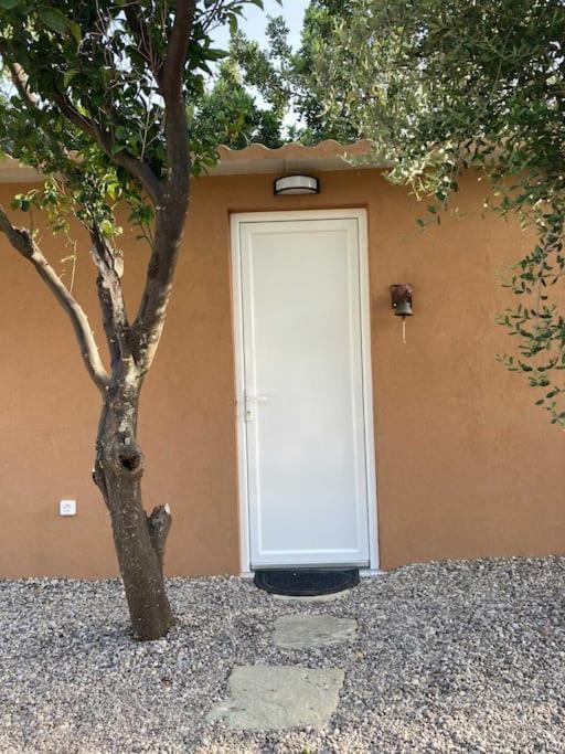 הוילה לואורדטה The Banana House מראה חיצוני תמונה